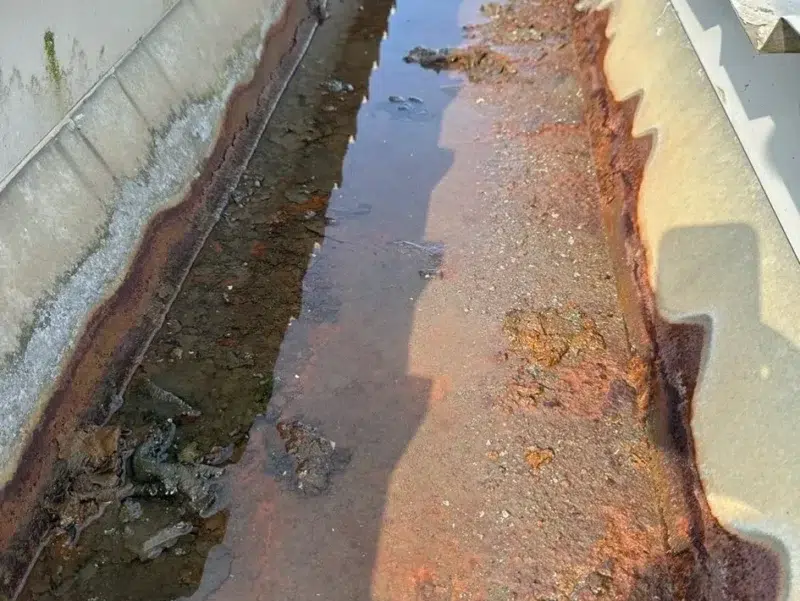 rs=w 945,h 711,cg true 3